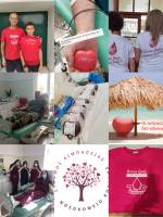 IMG_20240613_203415_original